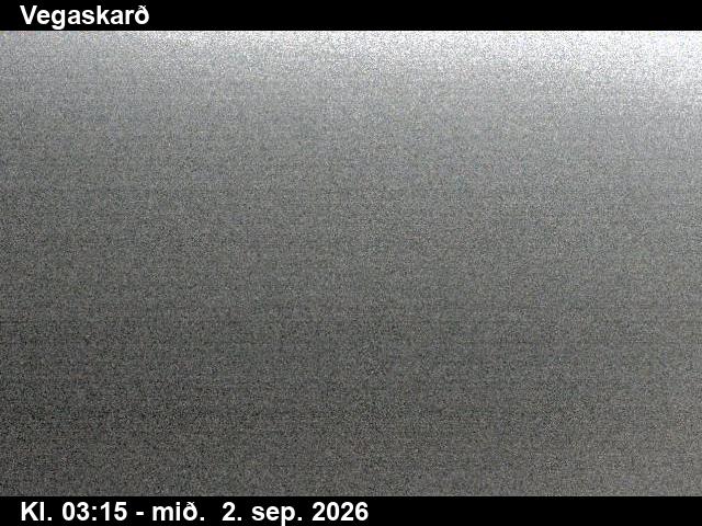 vegaskard_3-1788326761.jpg