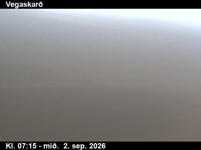 vegaskard_3-1788341165.jpg