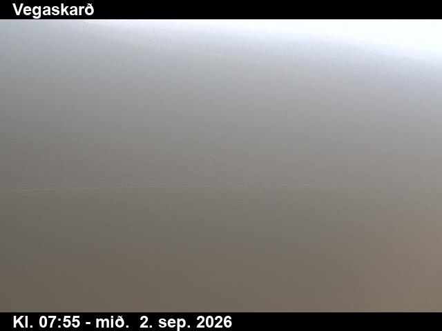 vegaskard_3-1788343603.jpg