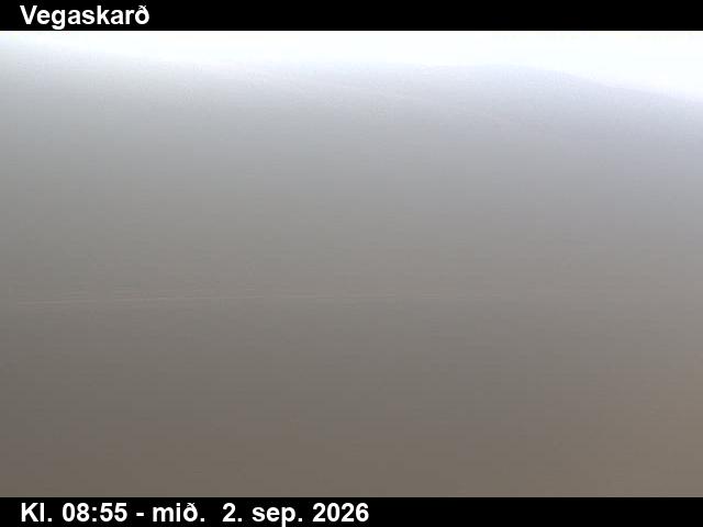 vegaskard_3-1788346862.jpg