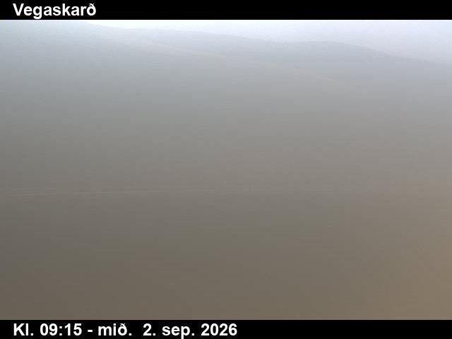 vegaskard_3-1788348330.jpg