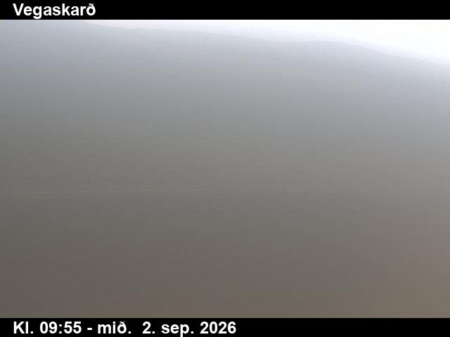 vegaskard_3-1788350500.jpg