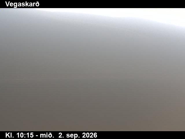 vegaskard_3-1788351947.jpg