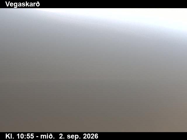 vegaskard_3-1788354066.jpg