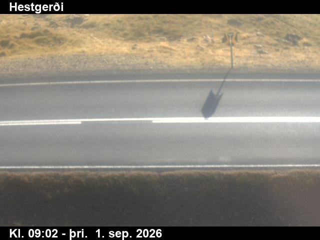hestgerdi_2-1788260763.jpg