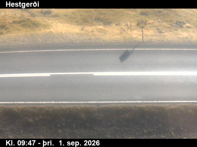 hestgerdi_2-1788264049.jpg