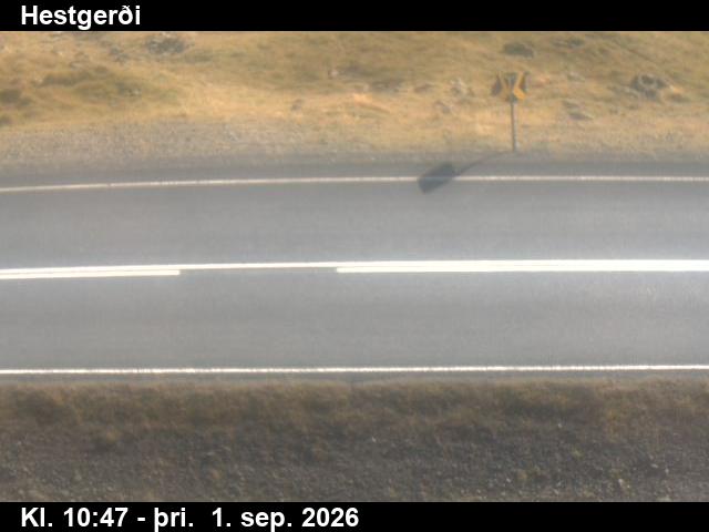 hestgerdi_2-1788267773.jpg