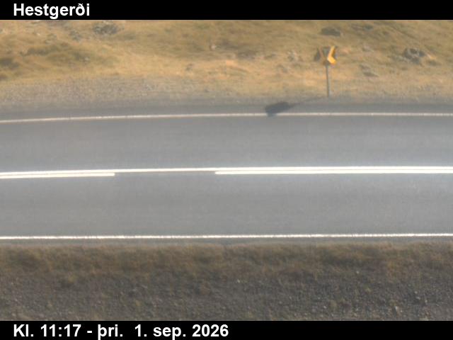 hestgerdi_2-1788269122.jpg