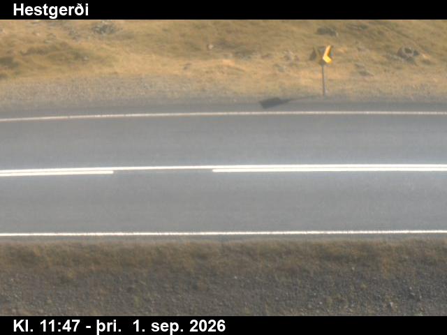 hestgerdi_2-1788271235.jpg