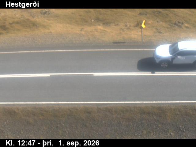 hestgerdi_2-1788274829.jpg