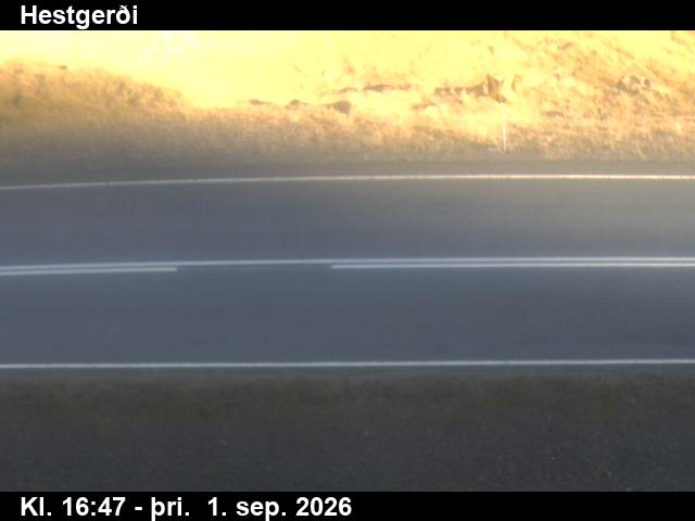 hestgerdi_2-1788289283.jpg