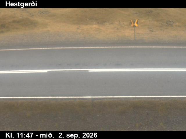 hestgerdi_2-1788357646.jpg