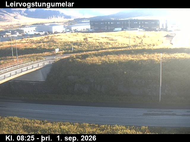 leirvogstungumelar_2-1788258529.jpg
