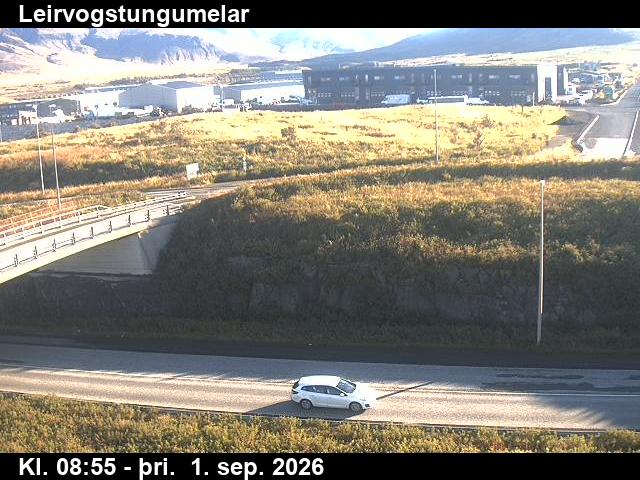 leirvogstungumelar_2-1788260556.jpg