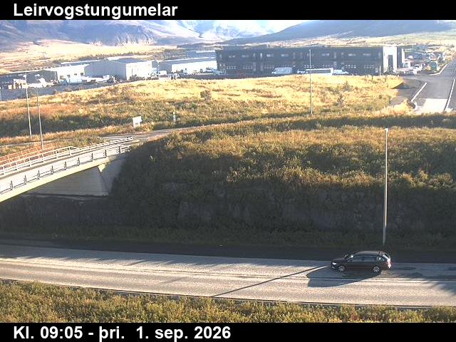 leirvogstungumelar_2-1788260761.jpg