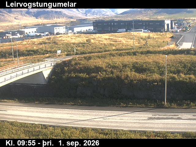 leirvogstungumelar_2-1788264086.jpg