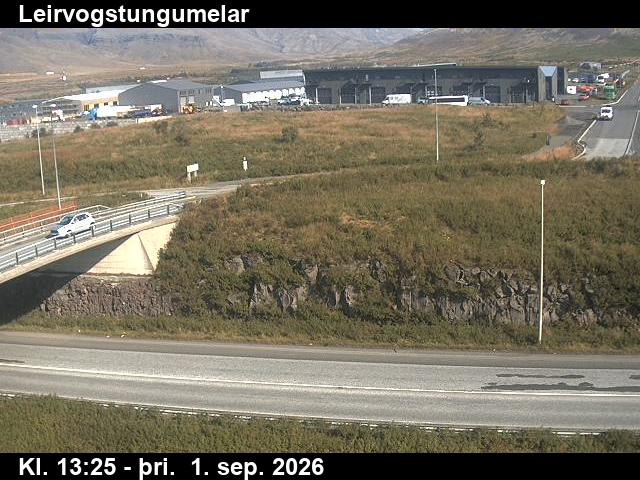 leirvogstungumelar_2-1788276371.jpg