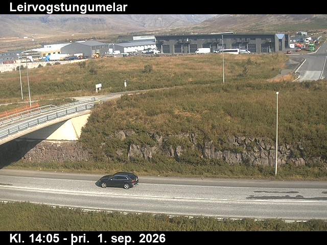 leirvogstungumelar_2-1788278755.jpg
