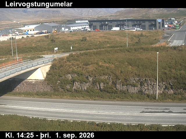 leirvogstungumelar_2-1788279969.jpg