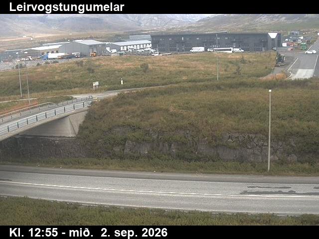 leirvogstungumelar_2-1788361249.jpg