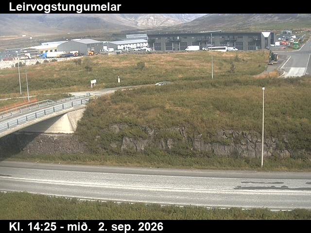 leirvogstungumelar_2-1788366338.jpg