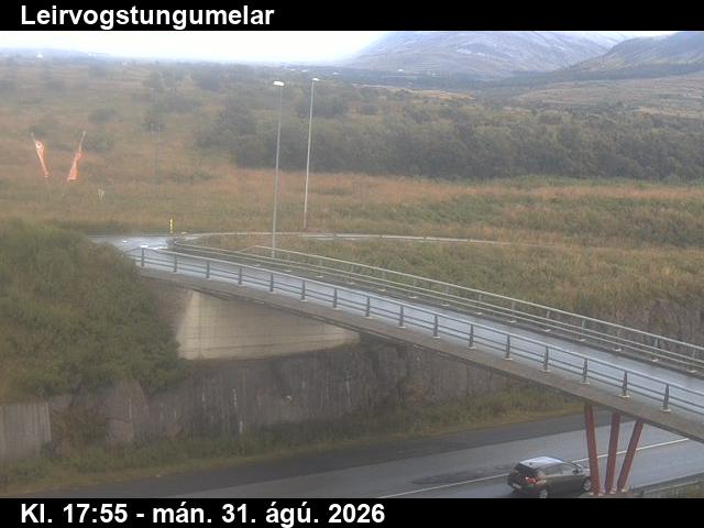 leirvogstungumelar_3-1788206505.jpg