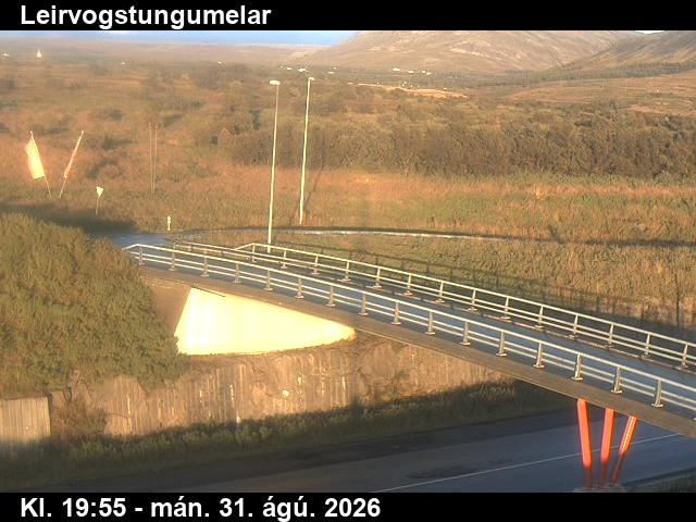 leirvogstungumelar_3-1788213641.jpg