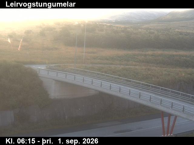 leirvogstungumelar_3-1788251139.jpg
