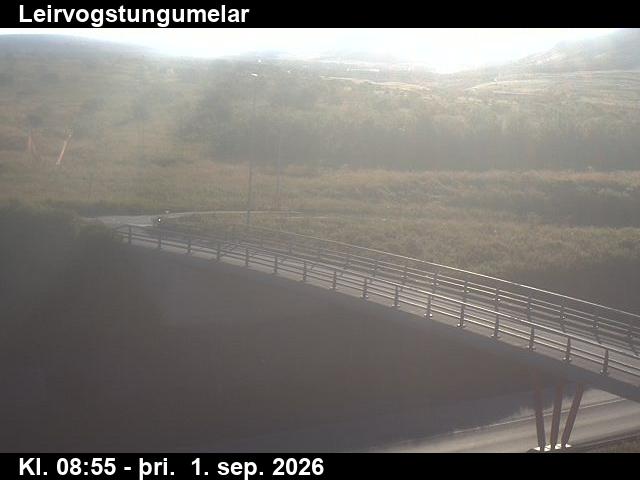 leirvogstungumelar_3-1788260556.jpg