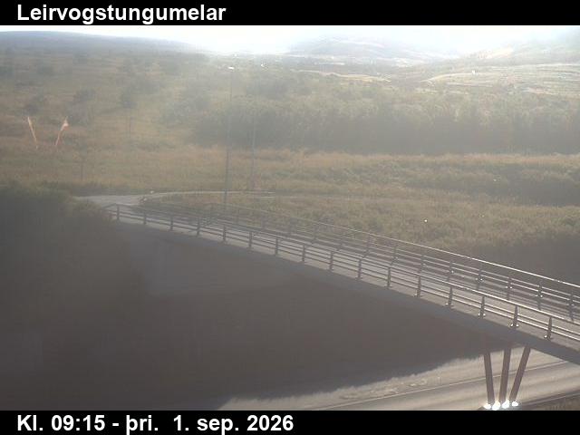 leirvogstungumelar_3-1788261926.jpg