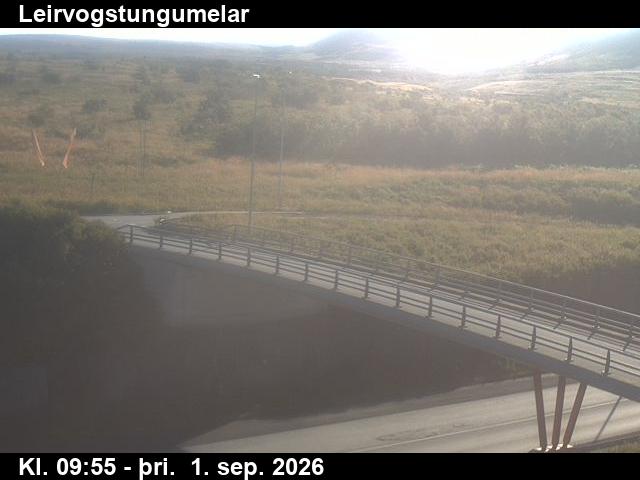 leirvogstungumelar_3-1788264106.jpg