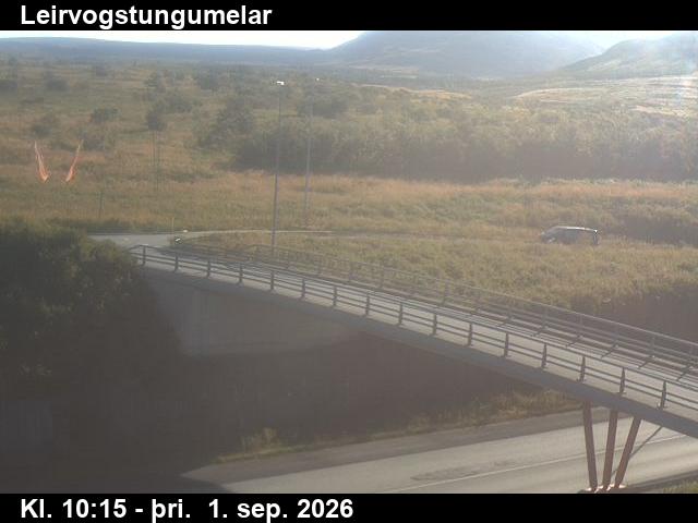 leirvogstungumelar_3-1788265577.jpg