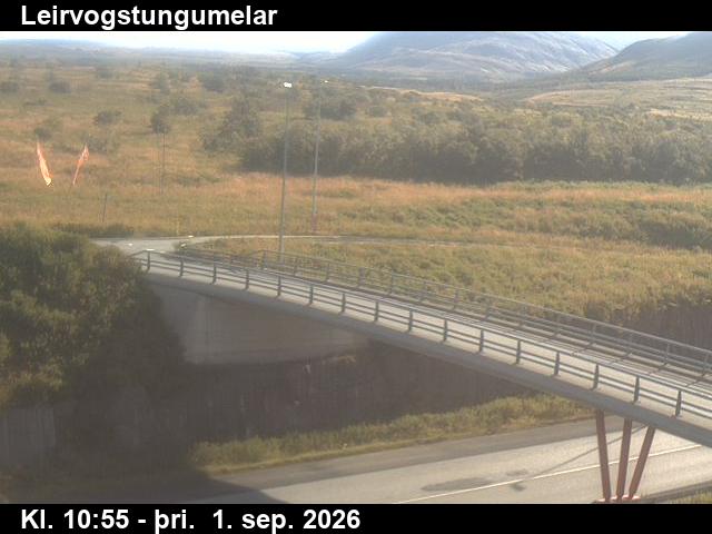 leirvogstungumelar_3-1788267654.jpg