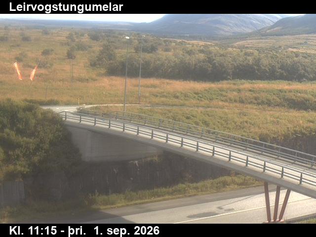leirvogstungumelar_3-1788269122.jpg