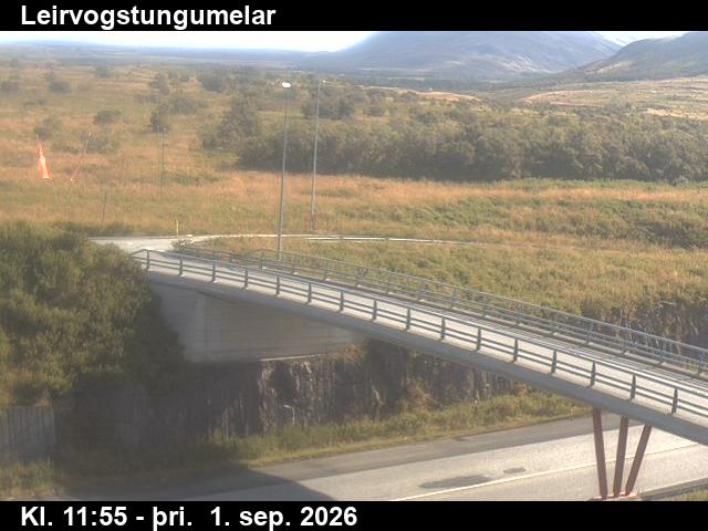 leirvogstungumelar_3-1788271226.jpg