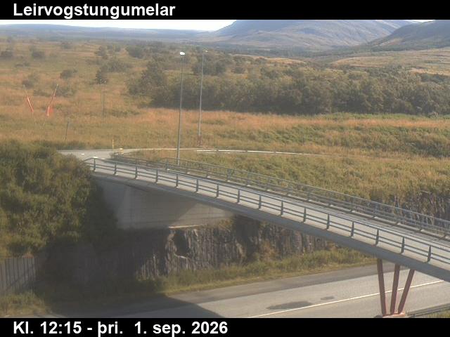 leirvogstungumelar_3-1788272746.jpg