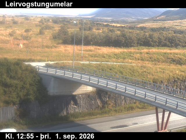 leirvogstungumelar_3-1788274828.jpg