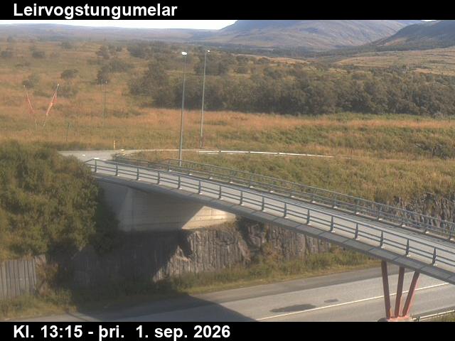 leirvogstungumelar_3-1788276371.jpg