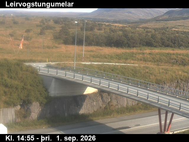 leirvogstungumelar_3-1788282098.jpg