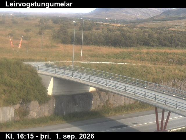 leirvogstungumelar_3-1788287129.jpg