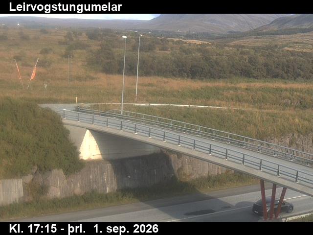 leirvogstungumelar_3-1788290727.jpg