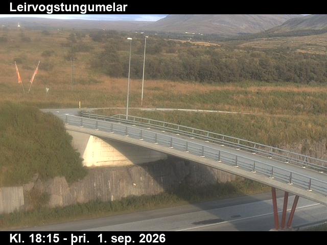 leirvogstungumelar_3-1788294347.jpg