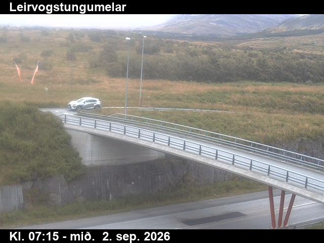 leirvogstungumelar_3-1788341129.jpg
