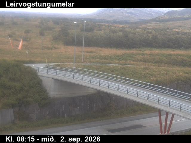 leirvogstungumelar_3-1788344763.jpg