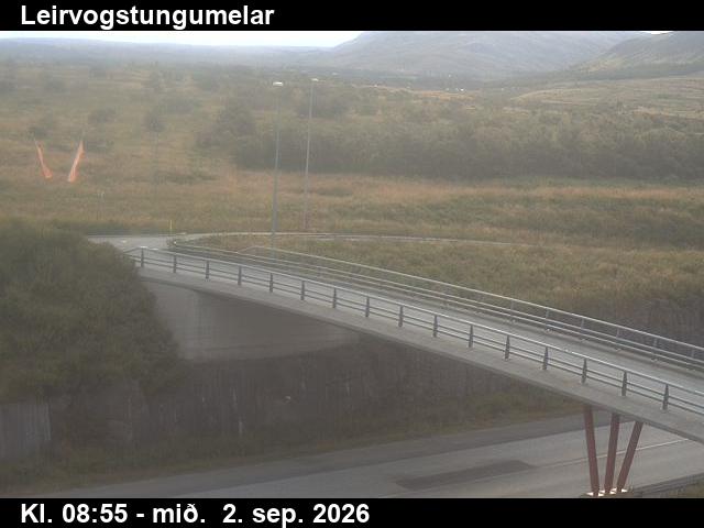 leirvogstungumelar_3-1788346901.jpg