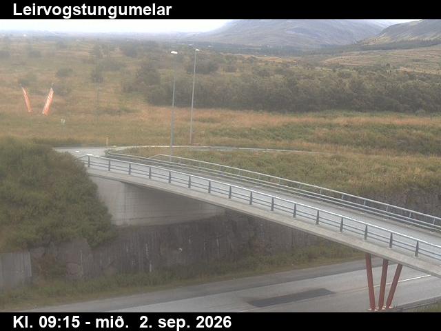 leirvogstungumelar_3-1788348354.jpg