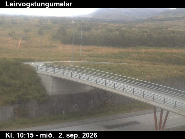 leirvogstungumelar_3-1788351932.jpg