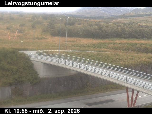 leirvogstungumelar_3-1788354154.jpg