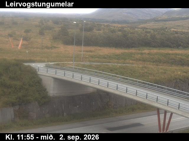 leirvogstungumelar_3-1788357645.jpg