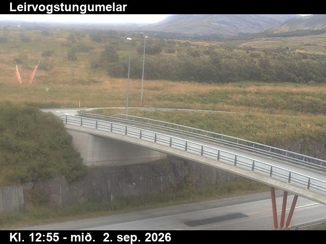 leirvogstungumelar_3-1788361288.jpg